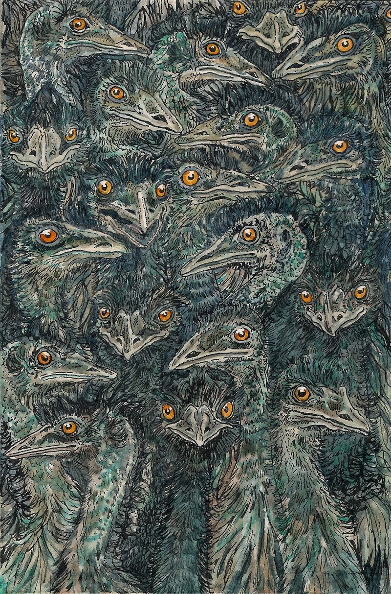 Pen and ink green and blue drawing of several Emu heads with golden eyes.