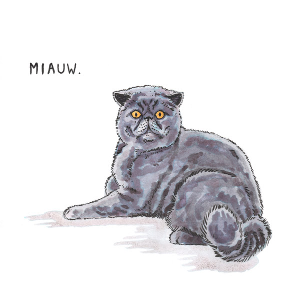 A pen and ink drawing of a grey cat saying 'Miauw'.