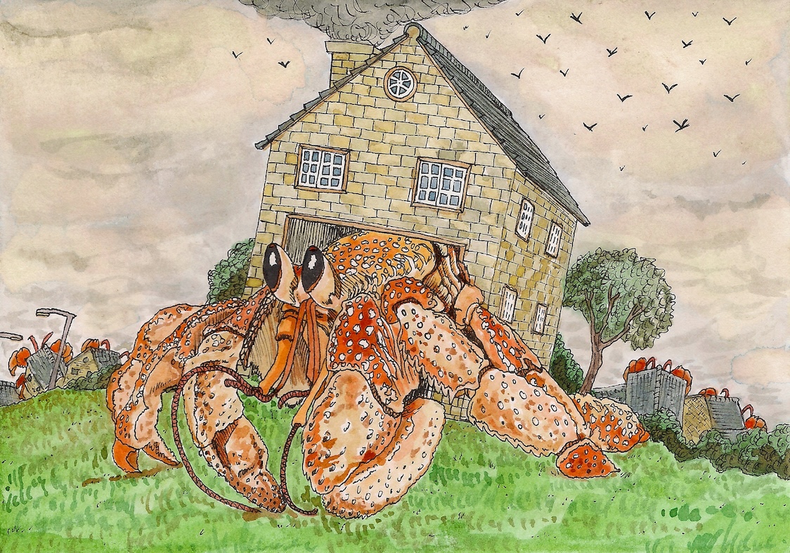 A pen and ink drawing of a hermit crab with a house for a shell.