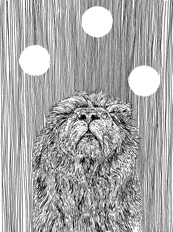 Black and white line drawing of a lion looking up at three white circles.