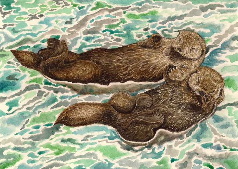 A pen and pencil drawing of two otters holding hands and floating in water.
