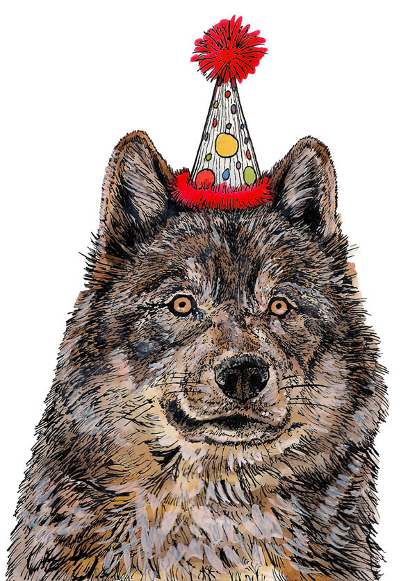 Wolf wearing a party hat, pen and ink.